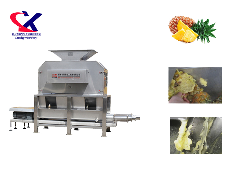 Pineapple Peeling and Juicing Machine