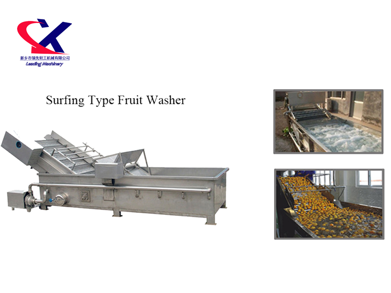 Surfing type fruit Vegetable washing machine