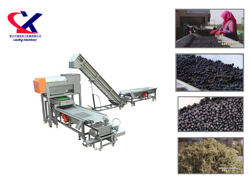 Grape Vibrating Selecting Processing Line