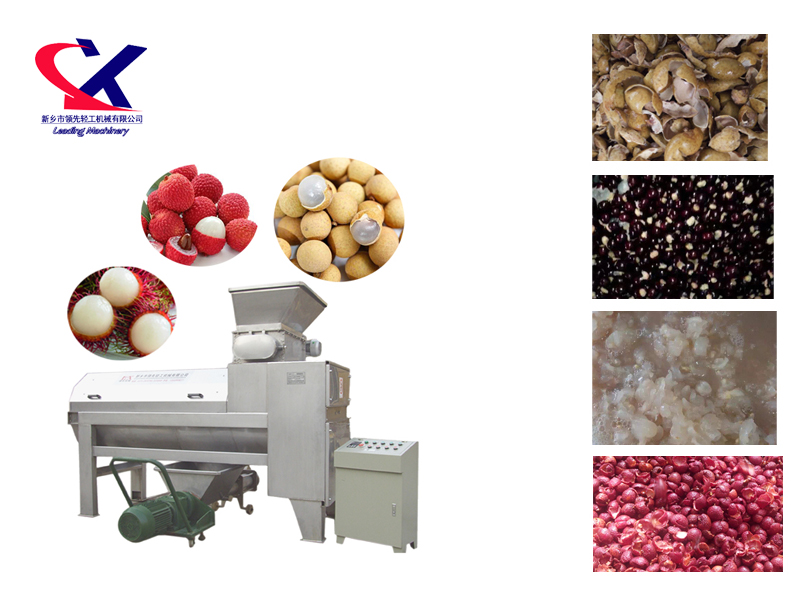 Lychee Litchi Lichee Longan Peeling and Pitting Machine